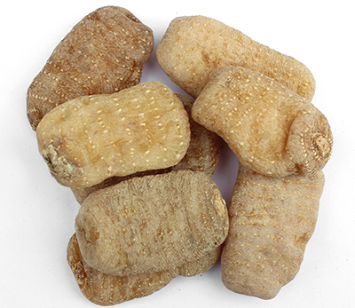 野生天麻與家種天麻的區別