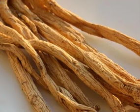 即墨古城年味濃 趕年集購隴南天麻，賞白馬人歌舞迎新春